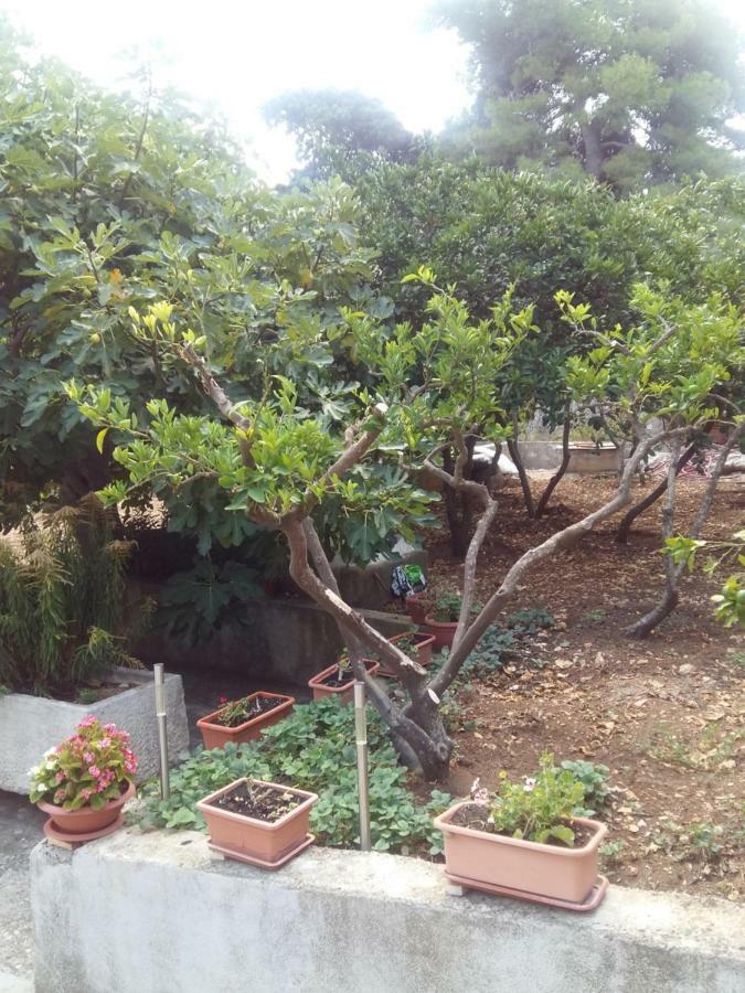Apartament Manda Ljubetić Sutivan Zewnętrze zdjęcie