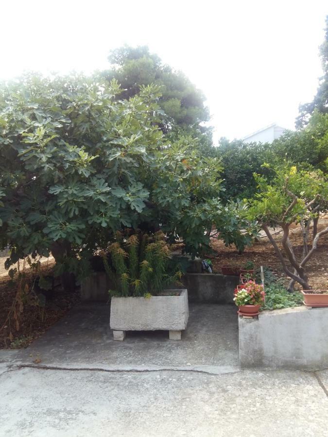 Apartament Manda Ljubetić Sutivan Zewnętrze zdjęcie