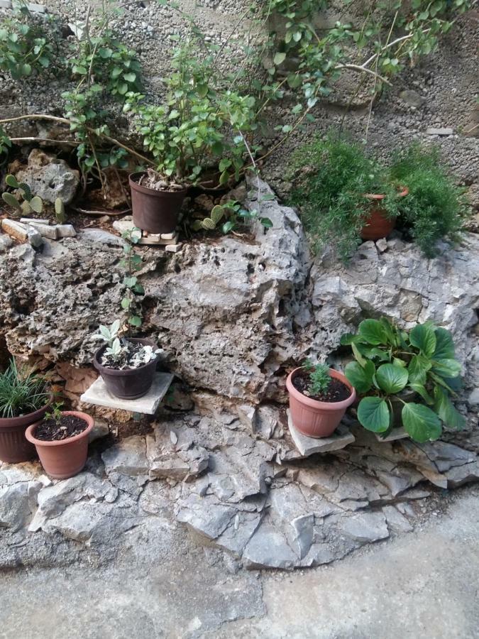 Apartament Manda Ljubetić Sutivan Zewnętrze zdjęcie