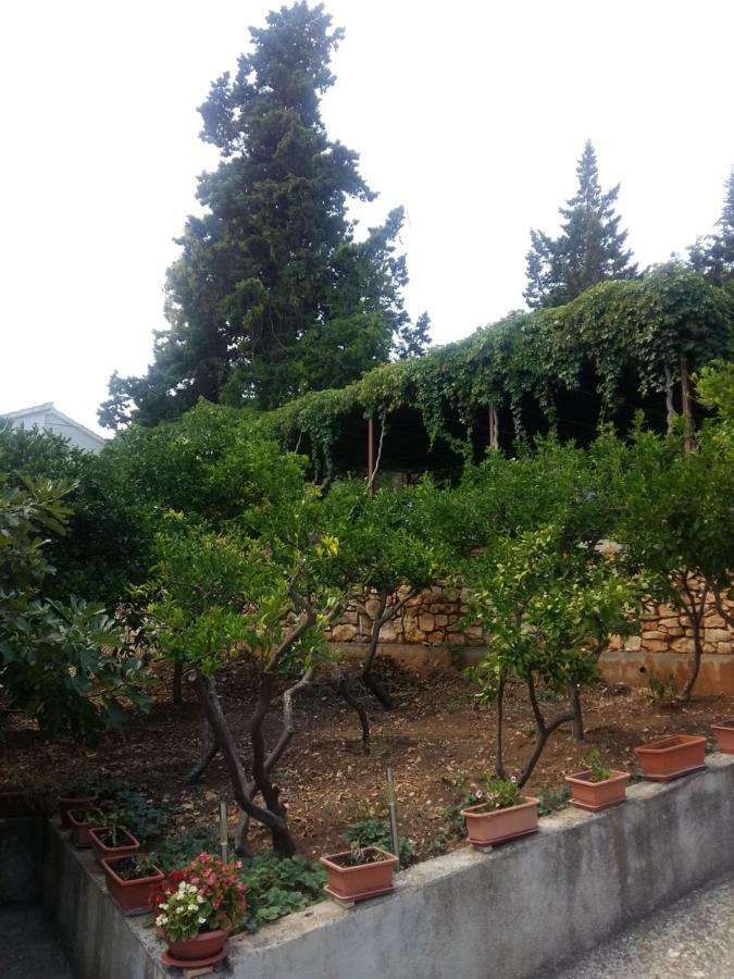 Apartament Manda Ljubetić Sutivan Zewnętrze zdjęcie