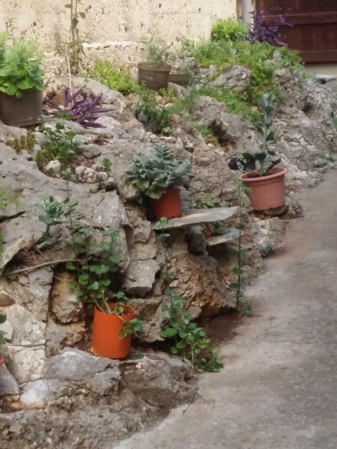 Apartament Manda Ljubetić Sutivan Zewnętrze zdjęcie