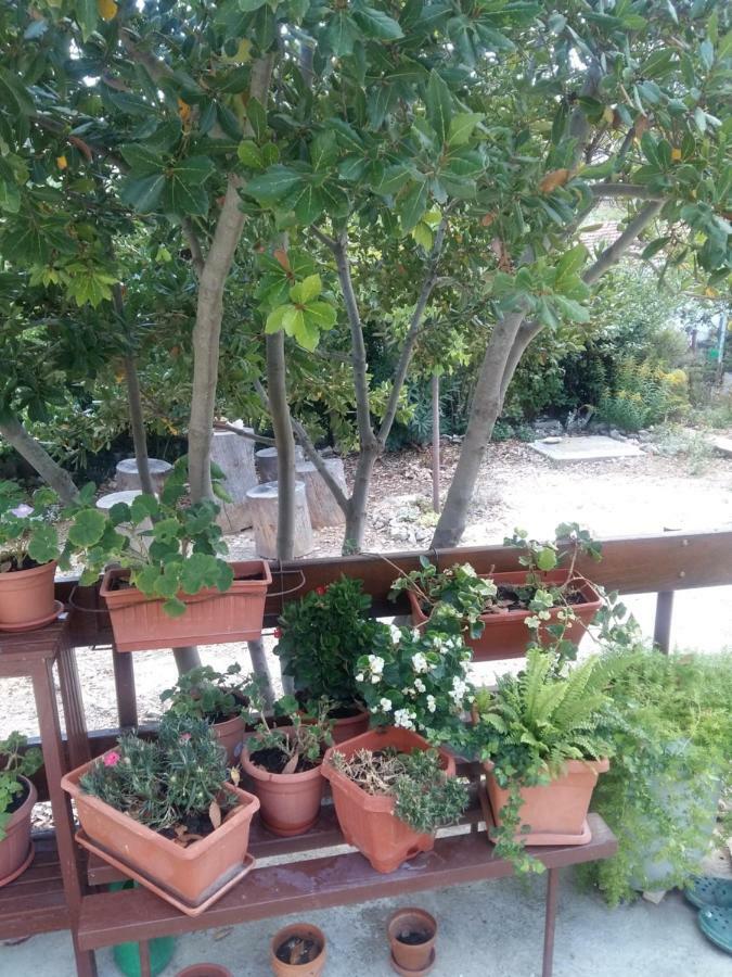 Apartament Manda Ljubetić Sutivan Zewnętrze zdjęcie