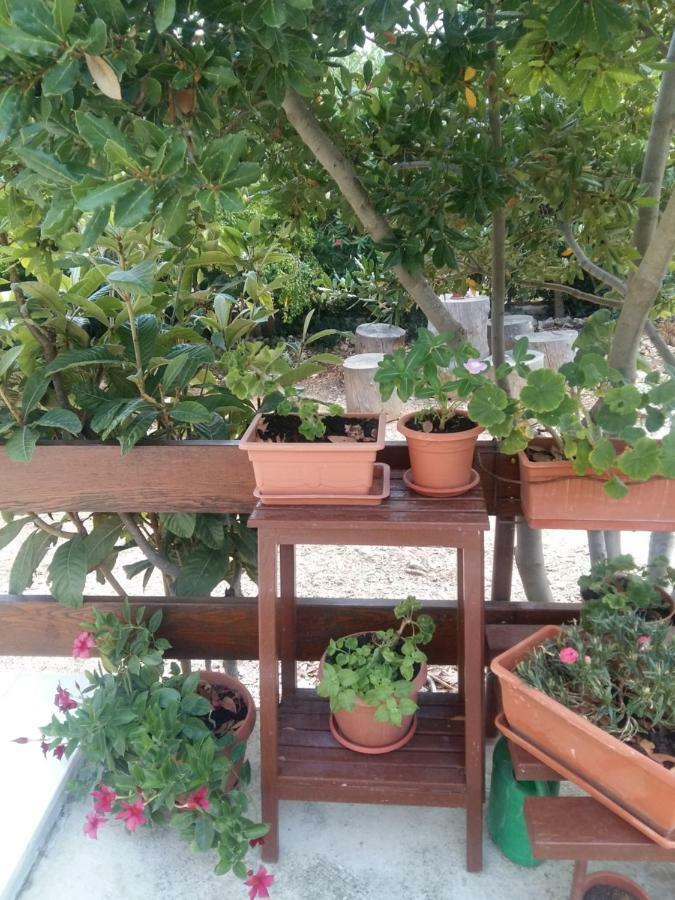 Apartament Manda Ljubetić Sutivan Zewnętrze zdjęcie
